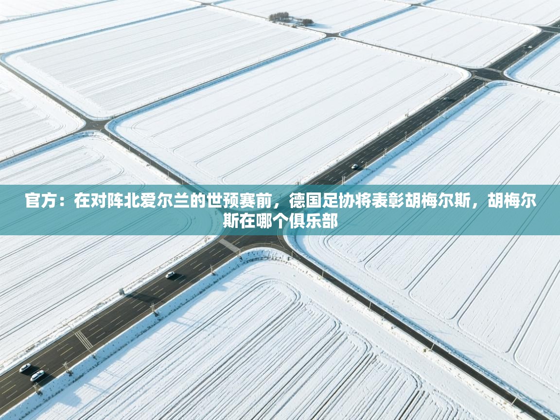 云开体育官网-官方：在对阵北爱尔兰的世预赛前，德国足协将表彰胡梅尔斯，胡梅尔斯在哪个俱乐部  第3张