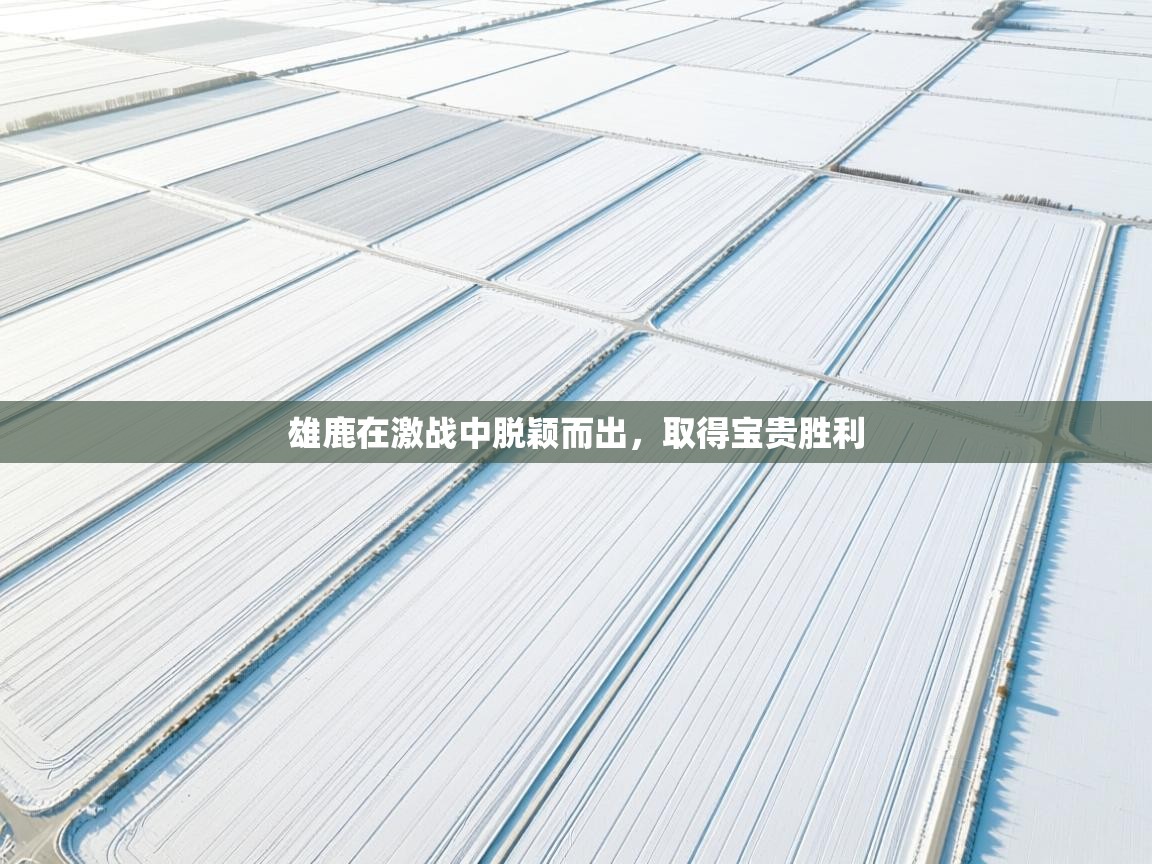 kaiyun体育入口-雄鹿在激战中脱颖而出，取得宝贵胜利  第1张