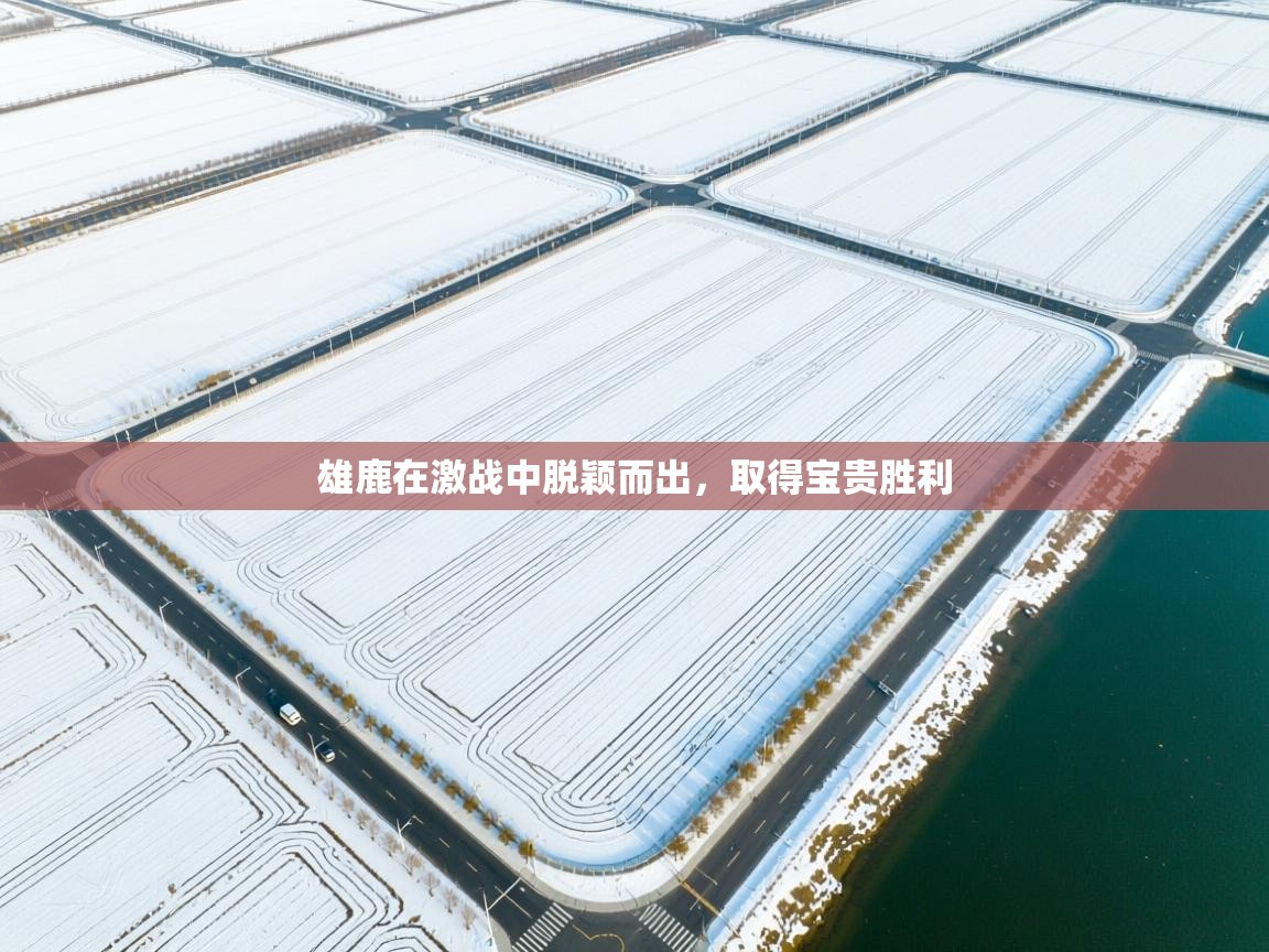 kaiyun体育入口-雄鹿在激战中脱颖而出，取得宝贵胜利  第2张