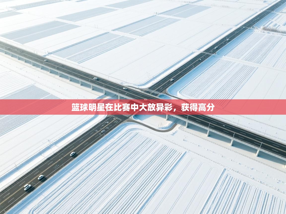 开云体育PC版网页版登录-篮球明星在比赛中大放异彩,获得高分 第1张