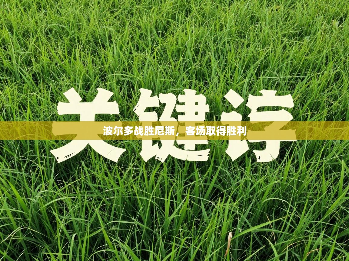 开云体育iOS安装教程-波尔多战胜尼斯，客场取得胜利