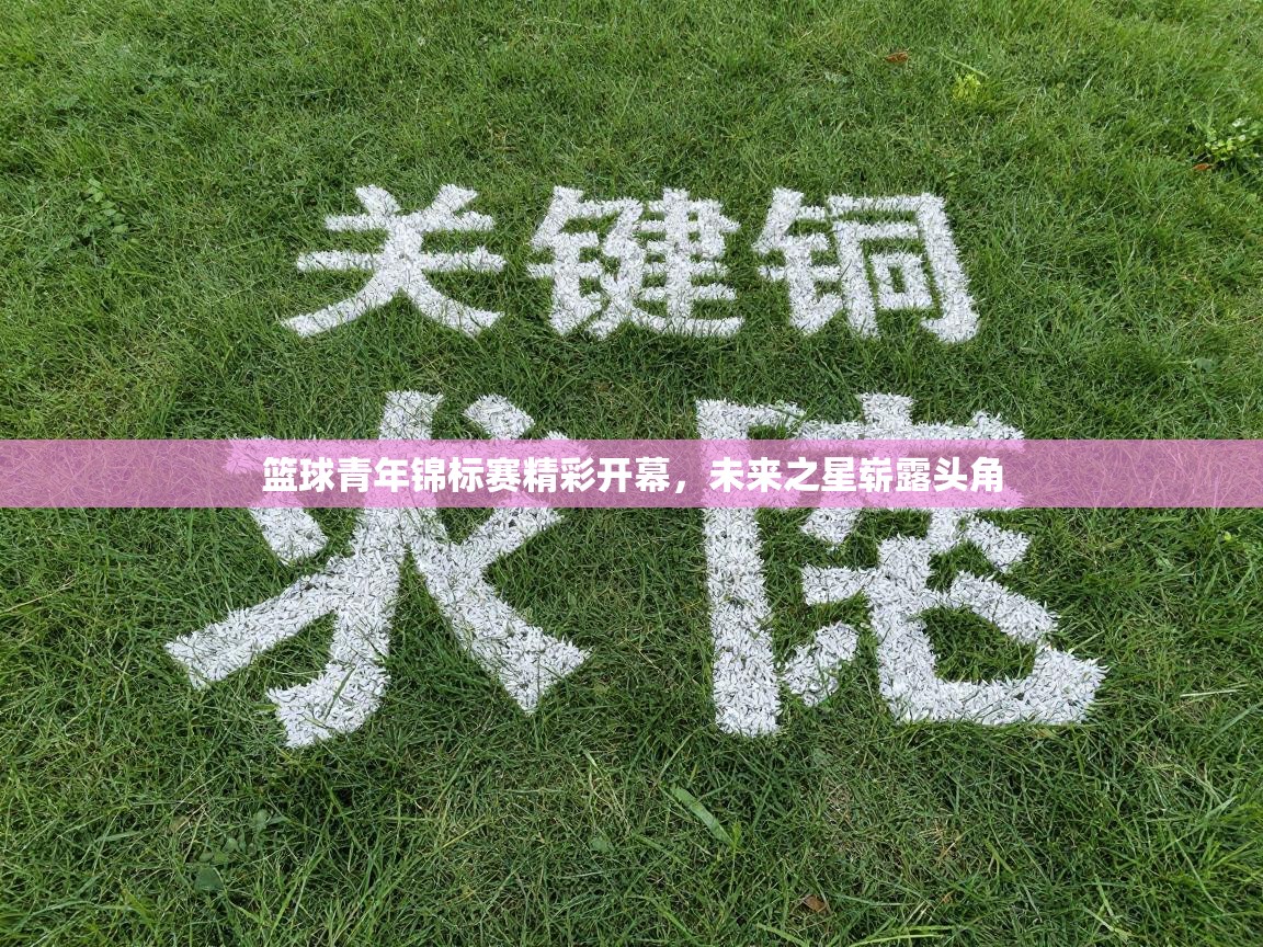 开云体育在线登入-篮球青年锦标赛精彩开幕，未来之星崭露头角  第1张