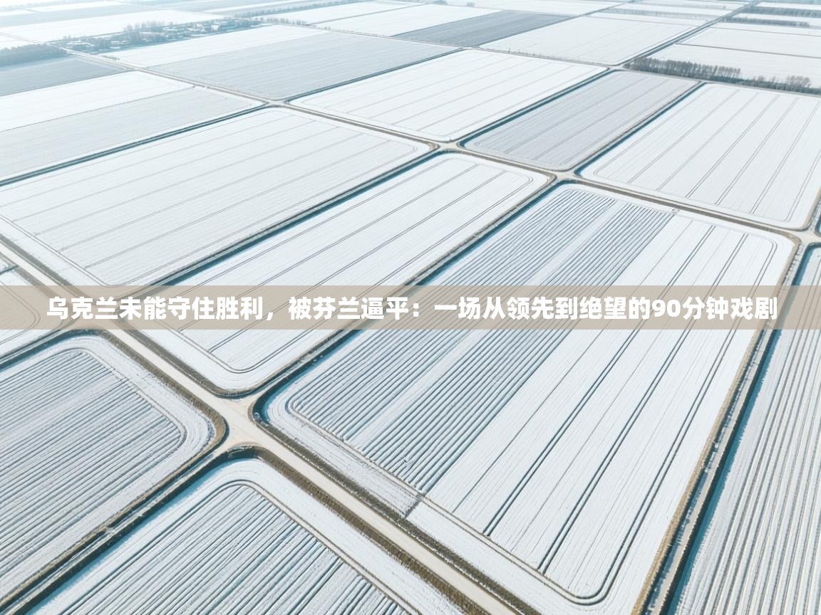 开云体育在线登入-乌克兰未能守住胜利，被芬兰逼平：一场从领先到绝望的90分钟戏剧  第2张