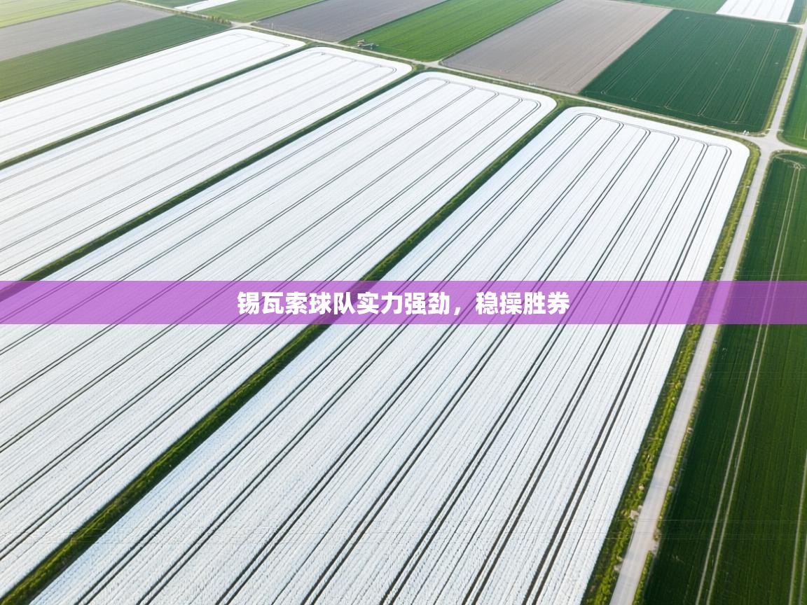 开云平台-锡瓦索球队实力强劲，稳操胜券  第2张