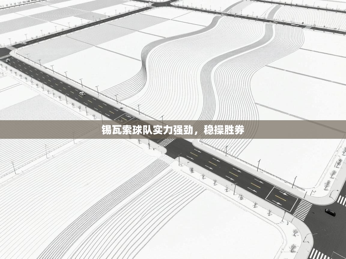 开云平台-锡瓦索球队实力强劲，稳操胜券  第3张