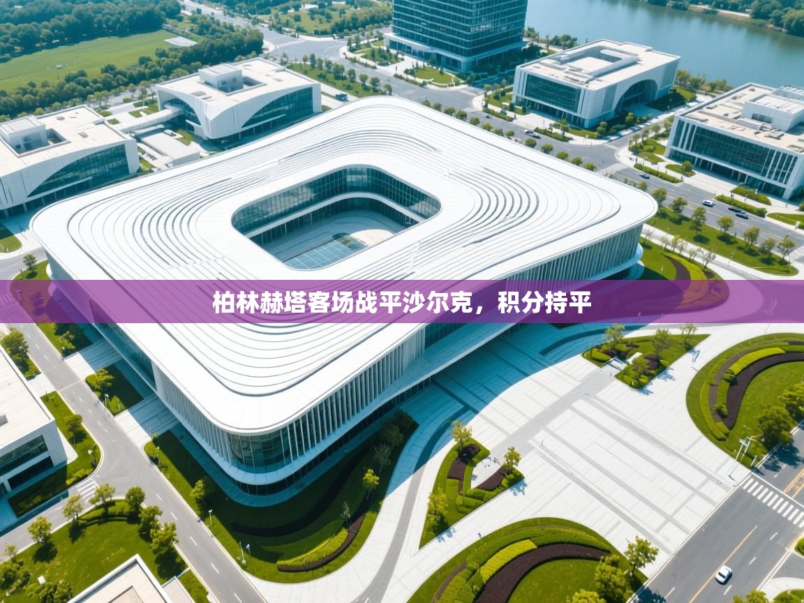 开云体育app官网下载地址-柏林赫塔客场战平沙尔克，积分持平  第2张