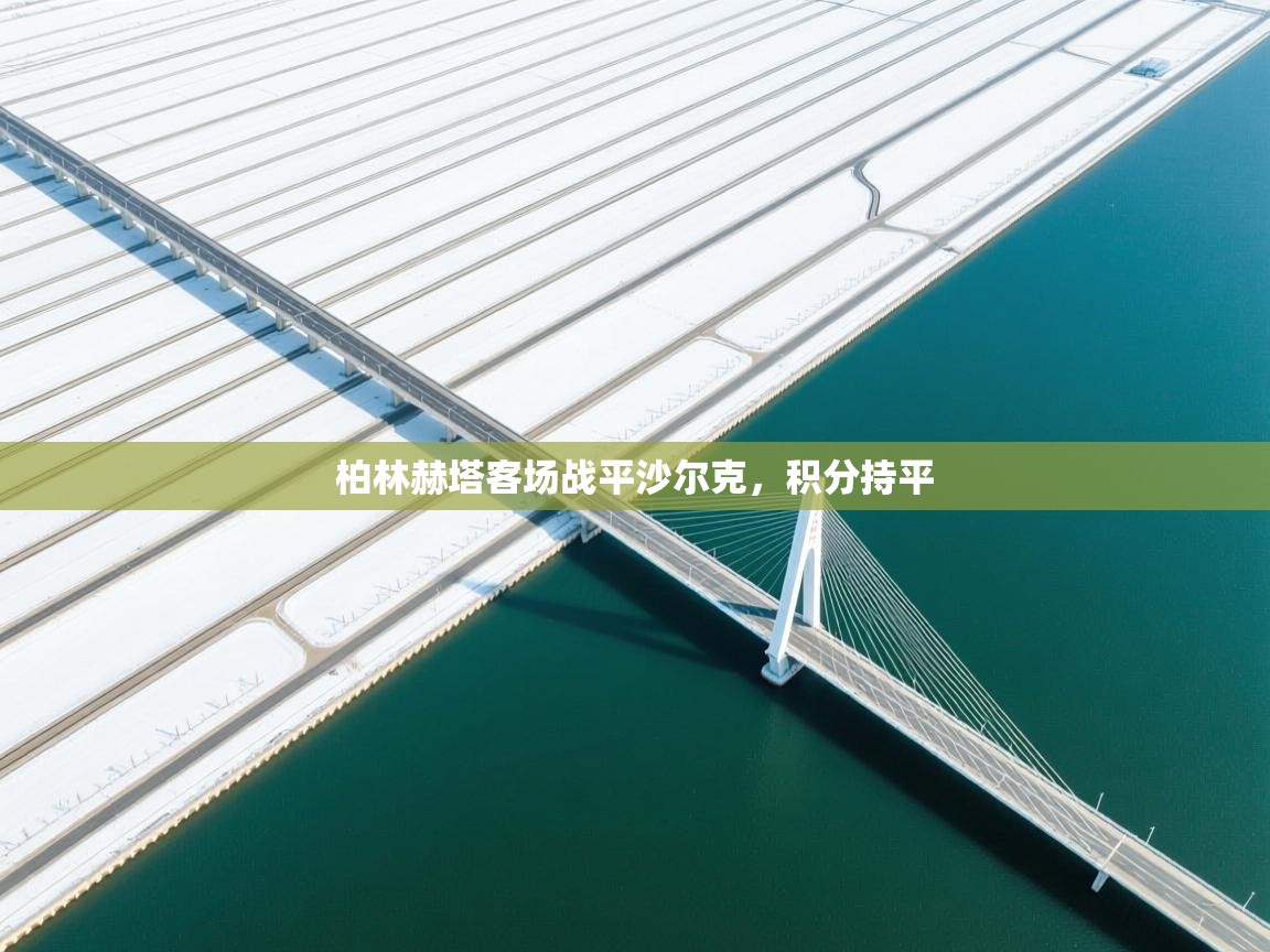 开云体育app官网下载地址-柏林赫塔客场战平沙尔克，积分持平  第4张