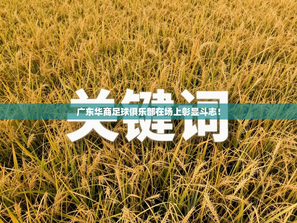 开云体育VIP权益说明-广东华商足球俱乐部在场上彰显斗志！  第2张