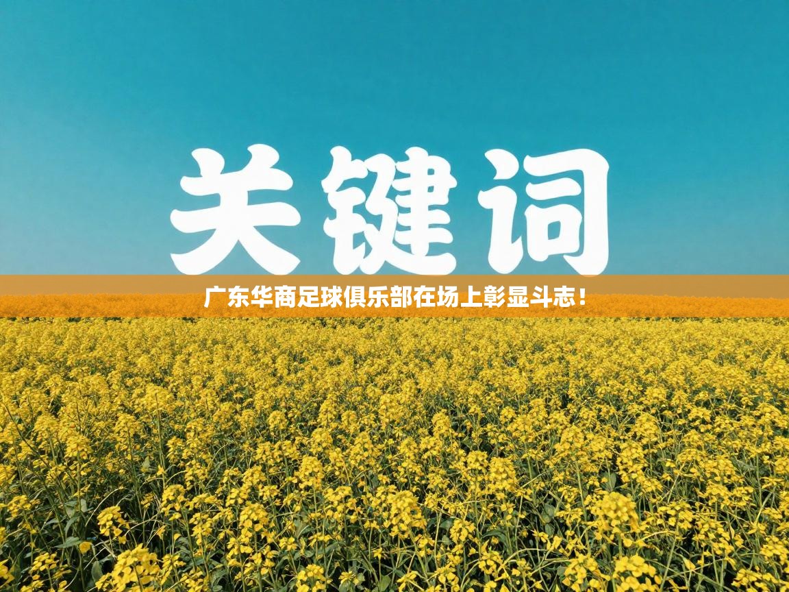 开云体育VIP权益说明-广东华商足球俱乐部在场上彰显斗志！  第3张