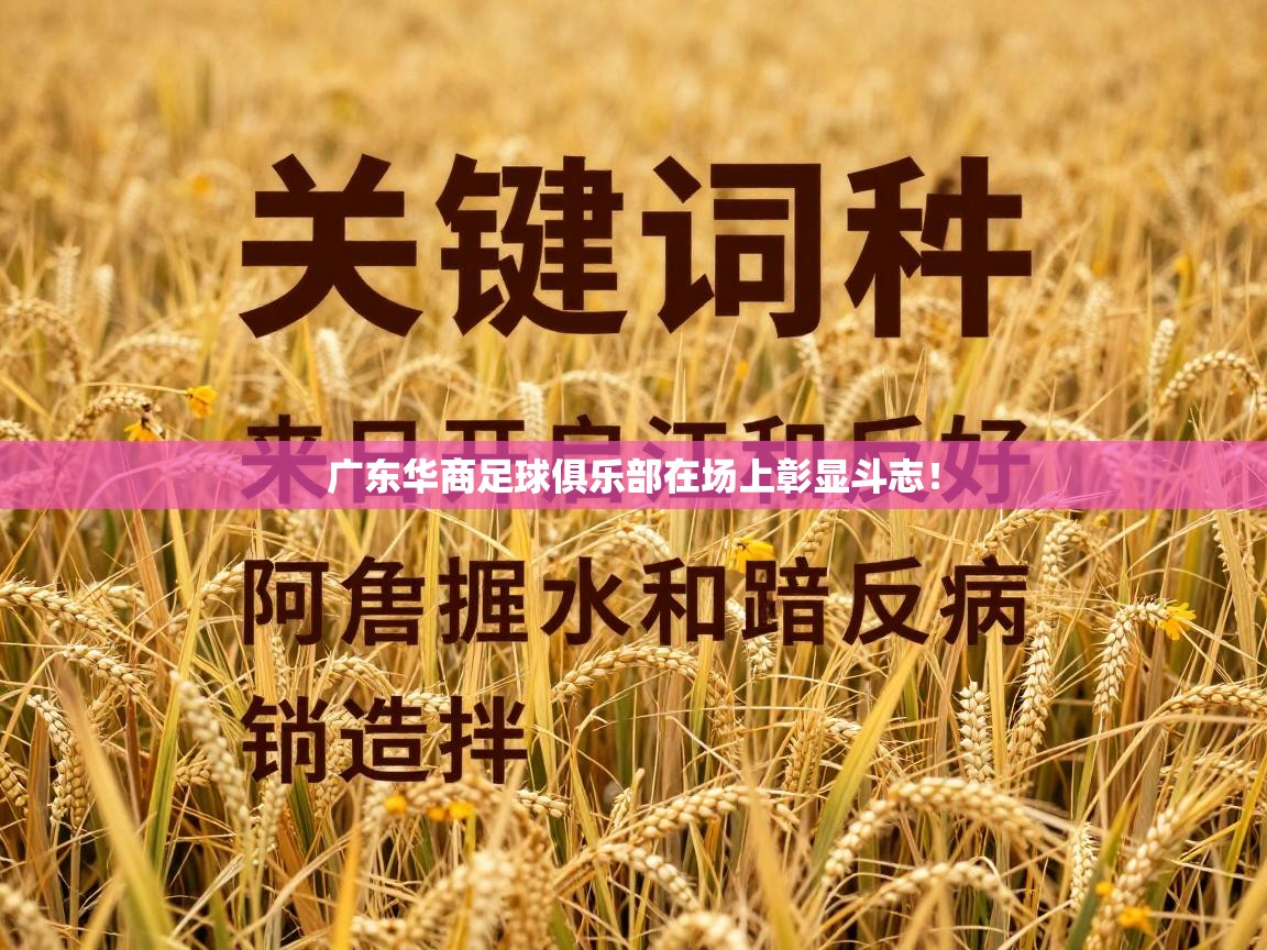 开云体育VIP权益说明-广东华商足球俱乐部在场上彰显斗志！  第4张