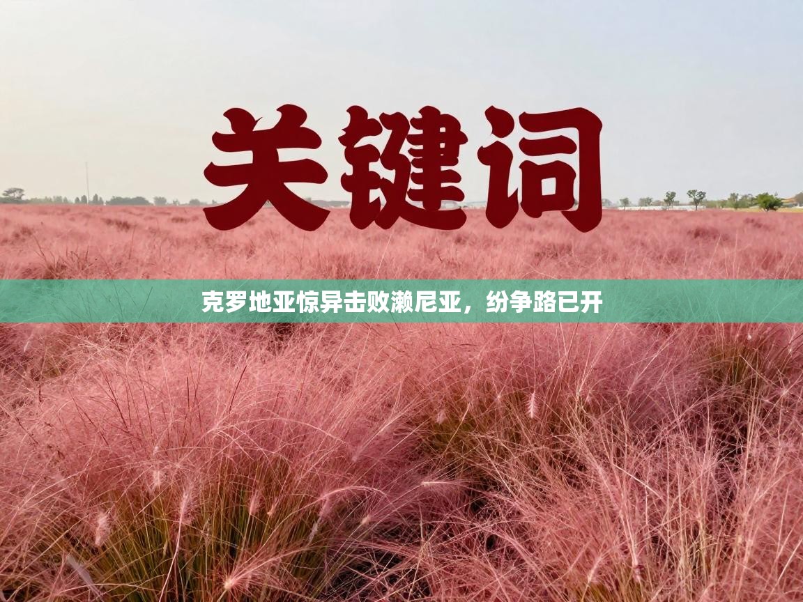 开云直播-克罗地亚惊异击败濑尼亚，纷争路已开  第3张