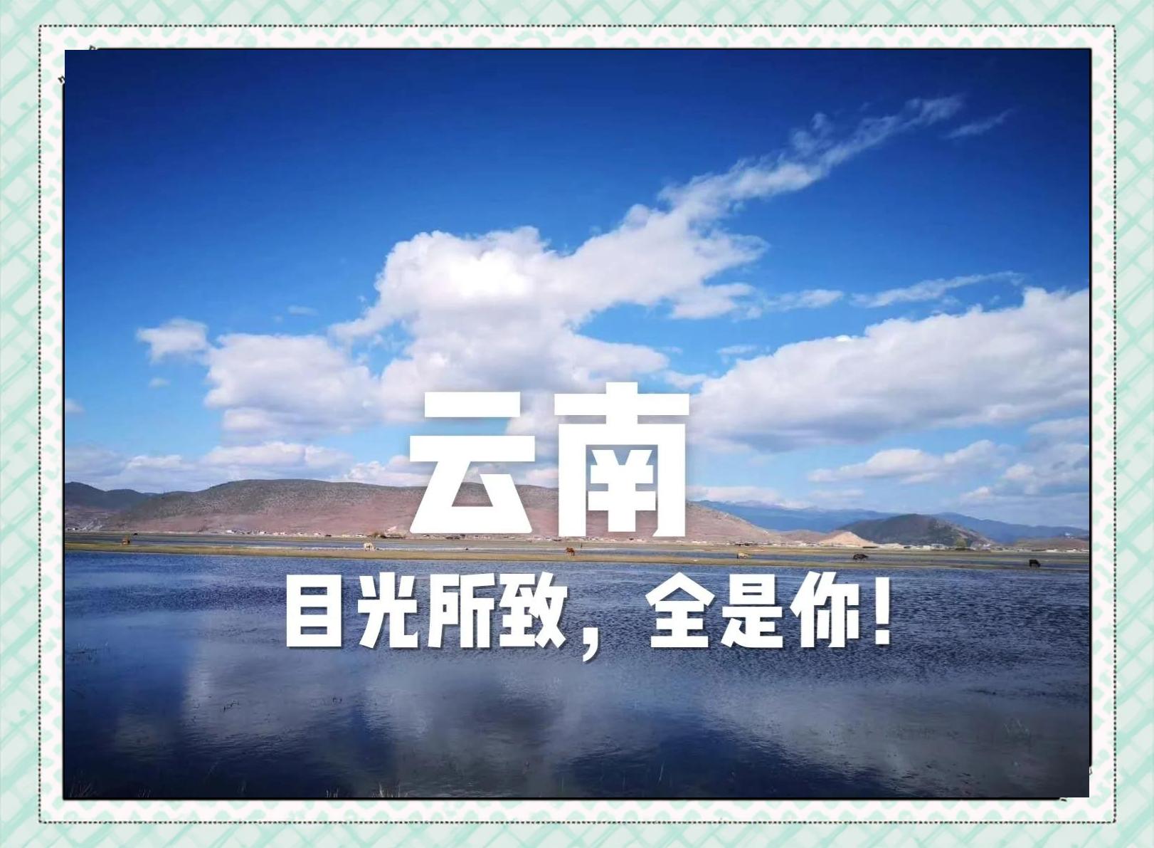 包含心心念念目光注视，对天下比武当自讨苦吃的词条
